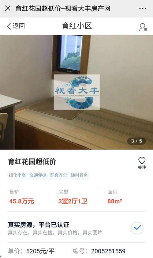 大丰房产爆料最新消息新闻,揭秘楼市动态,热点项目一网打尽 第2张 大丰房产爆料最新消息新闻,揭秘楼市动态,热点项目一网打尽 第2张