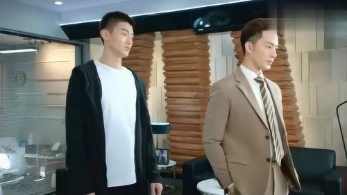 刘航大哥爆料隐情视频,隐情视频背后的惊人真相  第1张